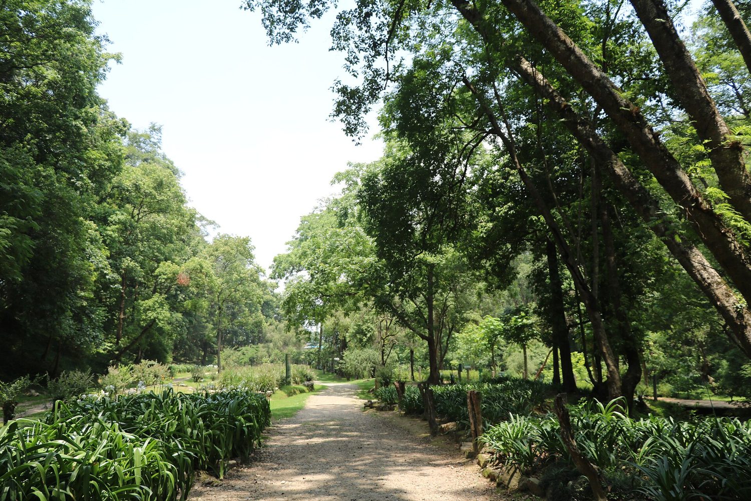 Field visit